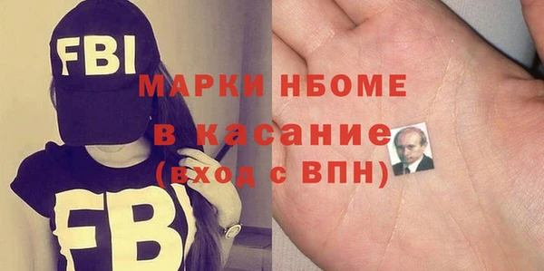 индика Володарск