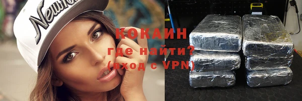 индика Володарск