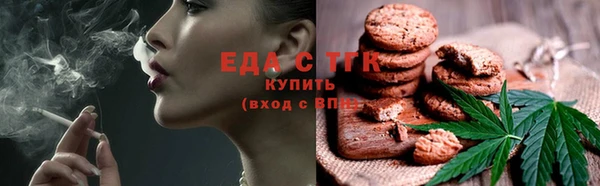 индика Володарск