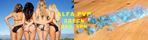 индика Володарск
