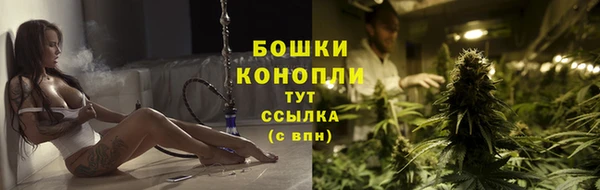 индика Володарск