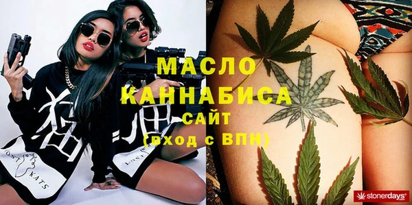 индика Володарск
