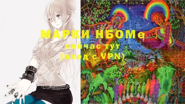 индика Володарск