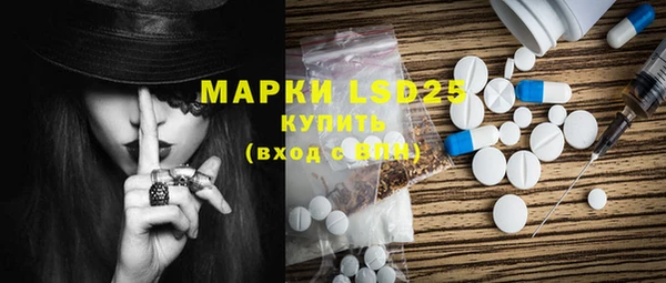 индика Володарск