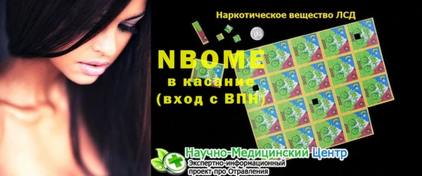 индика Володарск