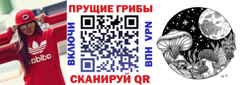 Галлюциногенные грибы MAGIC MUSHROOMS  Чишмы 